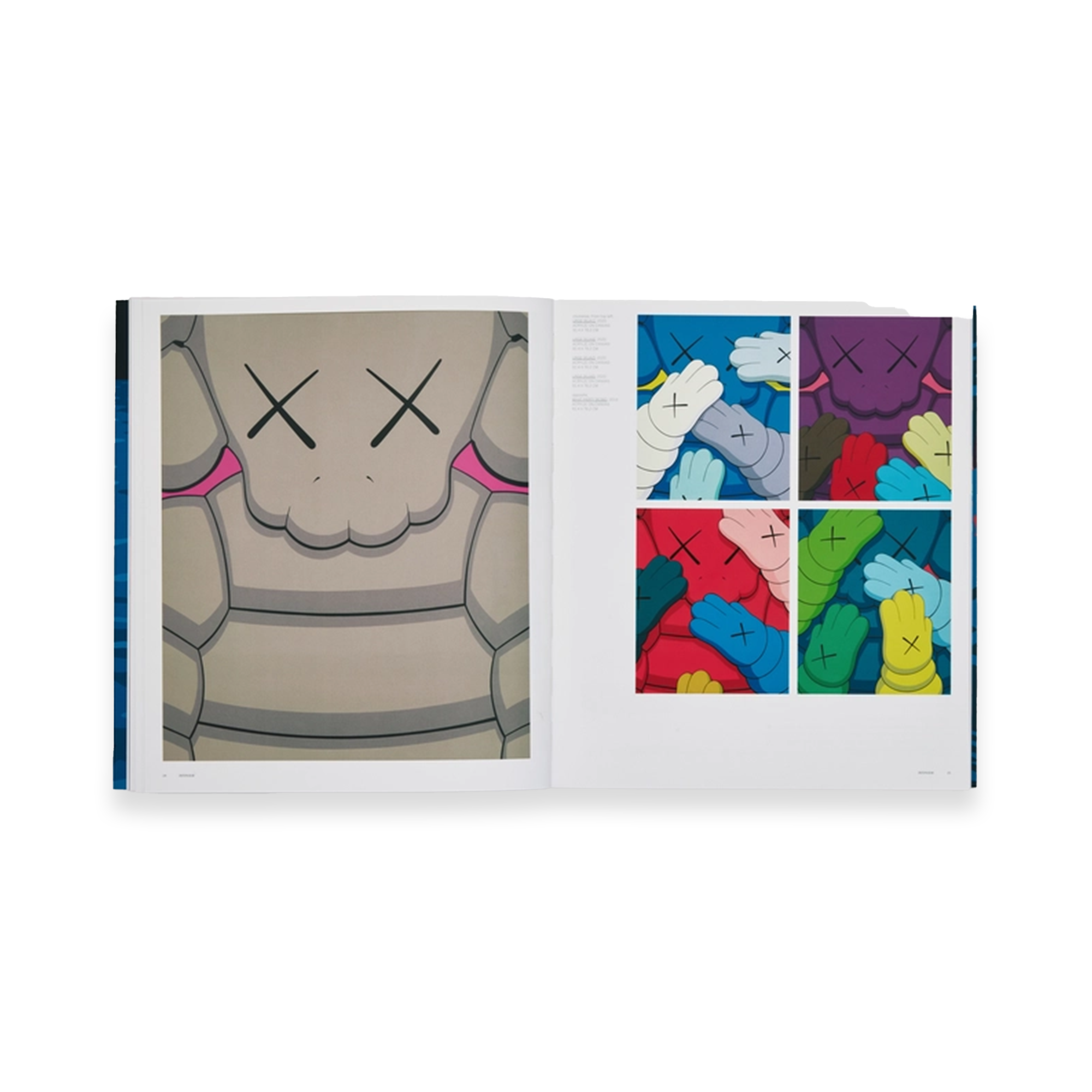 KAWS BY PHAIDON